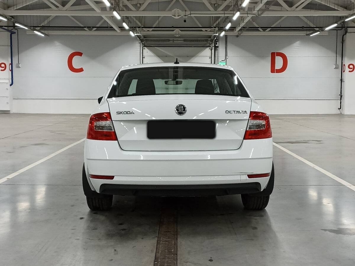 Skoda Octavia 2018 года с пробегом. Фото: #5